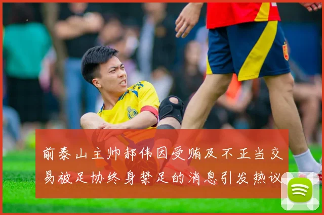 前泰山主帅郝伟因受贿及不正当交易被足协终身禁足的消息引发热议